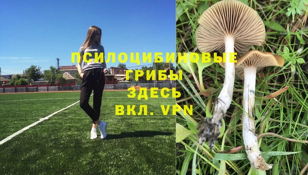 2c-b Алексин