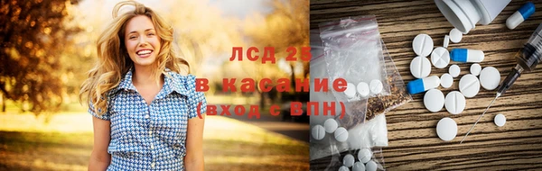 винт Алзамай