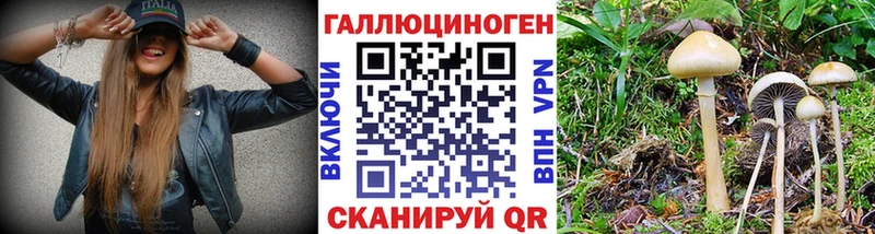 Псилоцибиновые грибы MAGIC MUSHROOMS  где можно купить   Углич 
